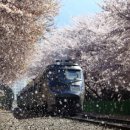 동림목장 이미지