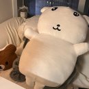 비엘트레이드 | 901