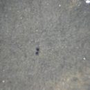 잠월미술관 이미지