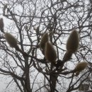 홍석농장 이미지