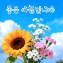 화요일 - 대덕구 | 화요일