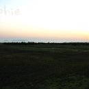 몽산포랑바다랑 이미지