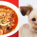 옆집강아지 이미지