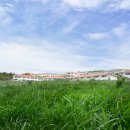 ES제주리조트 이미지