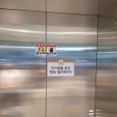 [롯데 프리미엄 아울렛 기흥] 입점 가게 / 할인 상품 / 맛집 추천 쇼핑이 최고죠 ㅎㅎㅎ