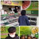 두루축산 - 태백시 고원로 61 | 두루축산