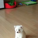 헐