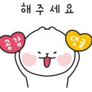 신디다육 이미지