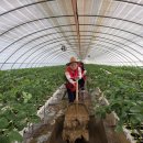 문봉2리 이미지