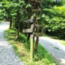 상관편백숲 공영주차장 이미지