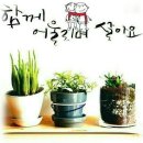 구산동어시장