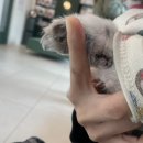 유스동물병원 이미지