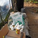 운암농장 이미지