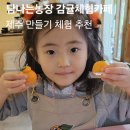 선들농장(1) | 제주 만들기 체험이 있는 탐나는농장 귤체험카페 아이와 여행 굿!