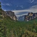 THE 숨 FOREST 이미지