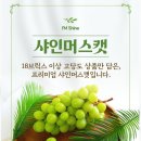 아임샤인