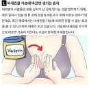 바세린을 가슴에 바르면 커진다.jpg 이미지