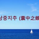 낭중지추 (囊中之錐) 이미지