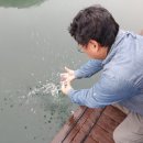 연론낚시터 이미지