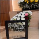 비담상조