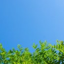 햇빛빌딩 이미지