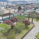 다비다의 집 이미지