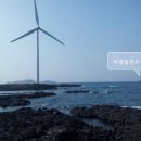 용수리태양광발전소 이미지