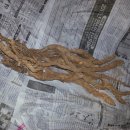 깍꼬뽁꼬 이미지