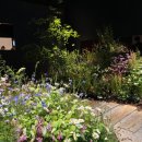 윤현하우스 이미지