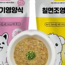 애견이야기 이미지