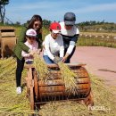 전라남도 농업박물관(테마공원) 이미지