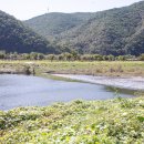 금소생태공원1 이미지