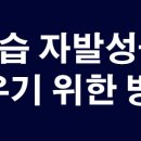 위너스영수학원 - 진천군 백사천길 53 | 위너스영수학원