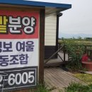 강정보여울 협동조합 이미지