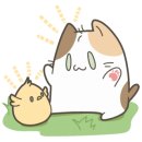 (주)휴먼헤드