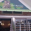 황금부엉이펜션 이미지