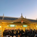 THE BON(더 본) | [여행/도쿄]도쿄 자유여행 4일차/도쿄 디즈니랜드 위크나이트 패스포트 티켓 후기 - 처음 가본 솔직한 하루