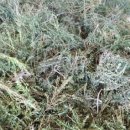 초시농장 이미지