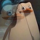 에코펜션민박 이미지