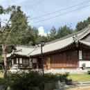 낙은로50번길 | 용인 돌스냅 정성헌 스튜디오 야외 돌촬영, 돌상 사진 후기