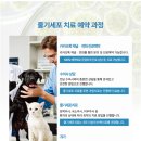 UN동물의료센터 이미지