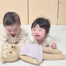 신생아 선물 커들앤카인드 아기 애착 수면 인형 후기