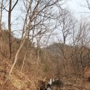 운주산 등산로 | 세종 운주산 산행