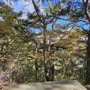 서석풍암리 터미널 이미지