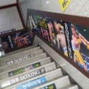 마루복싱 이미지