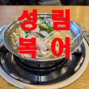 성림복어 이미지