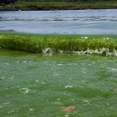 금강페인트 이미지