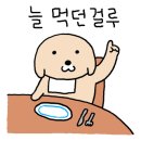 멘지대구