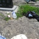 주천면 하송마을 이미지