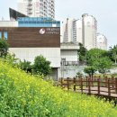 부평 굴포누리 기후변화체험관 이미지